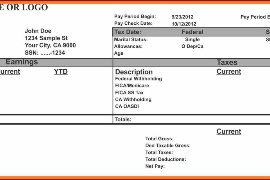 Free Printable Check Stub Templates Template 1 Resume Examples