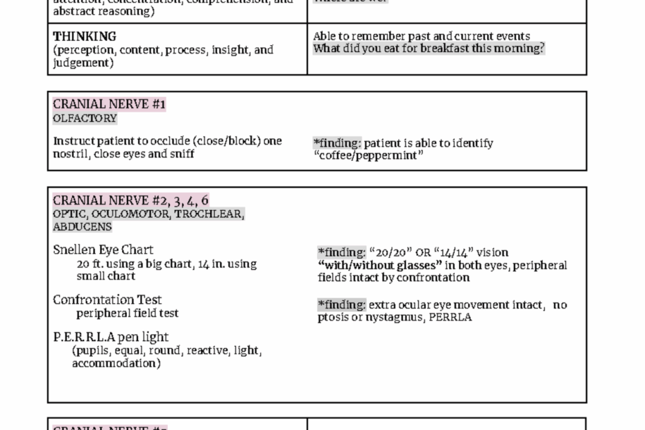 Free Printable Neuro Check Sheet Printable Forms Free Online