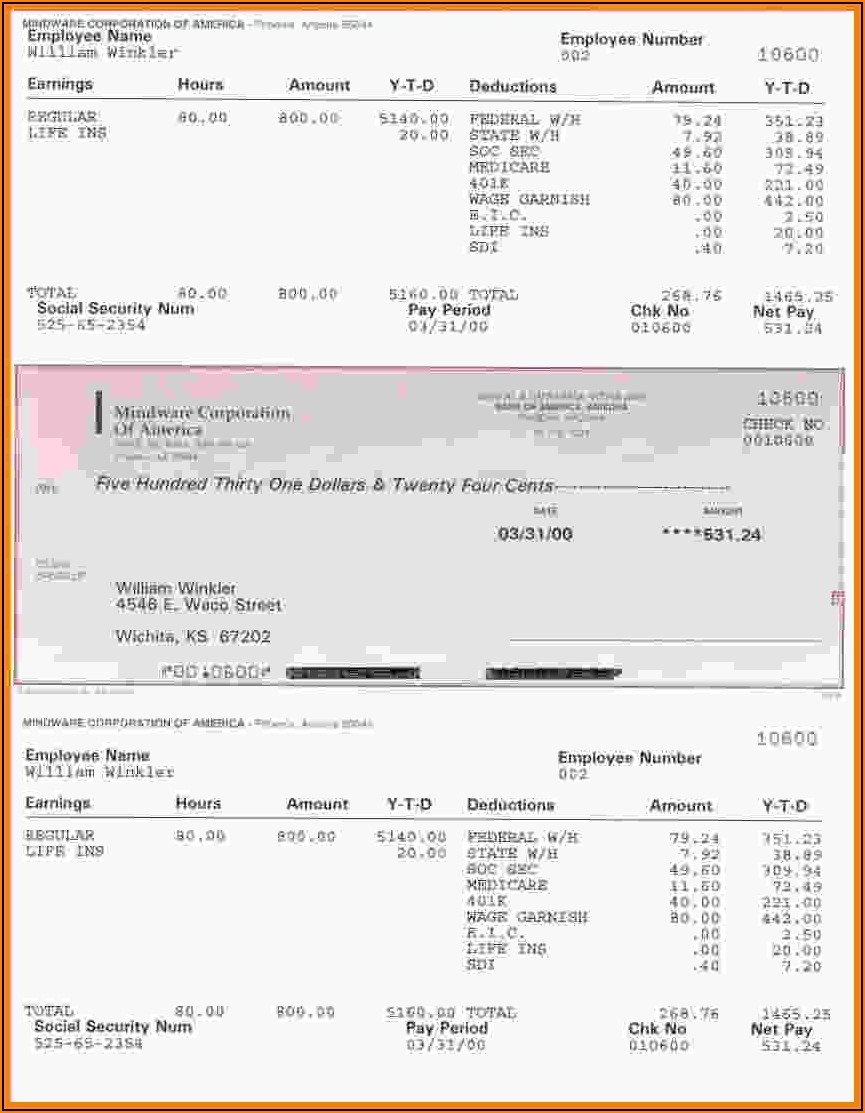 Paycheck Stub Sample Free Template 1 Resume Examples dP9lZxMVRD
