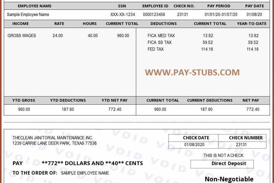 Paycheck Stub Sample Free Template 1 Resume Examples dP9lZxMVRD