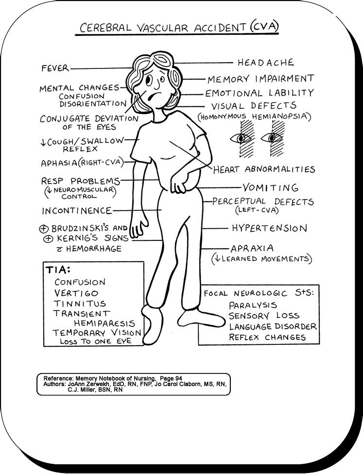 Printable Neuro Assessment Form Printable Forms Free Online