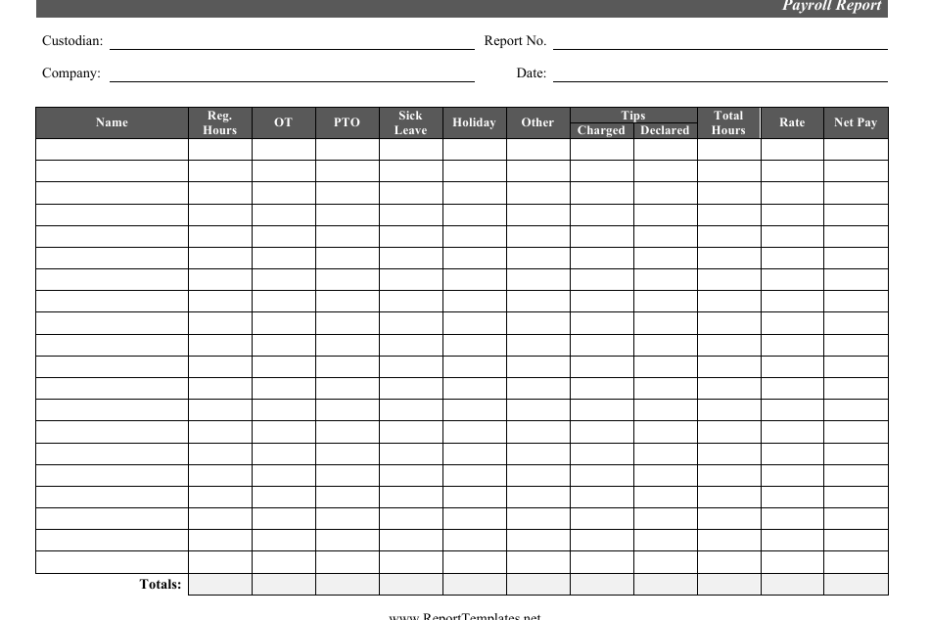 Printable Payroll Form Templates Printable Forms Free Online
