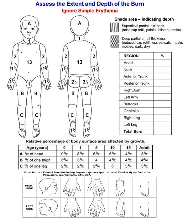 Printable Skin Assessment Form Printable Forms Free Online