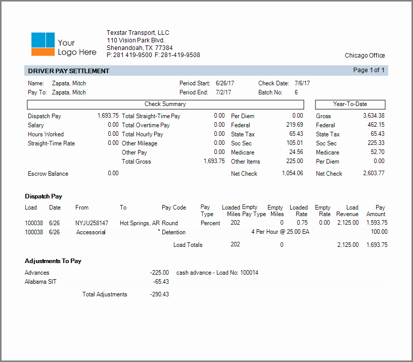 Truck Driver Pay Stub Template