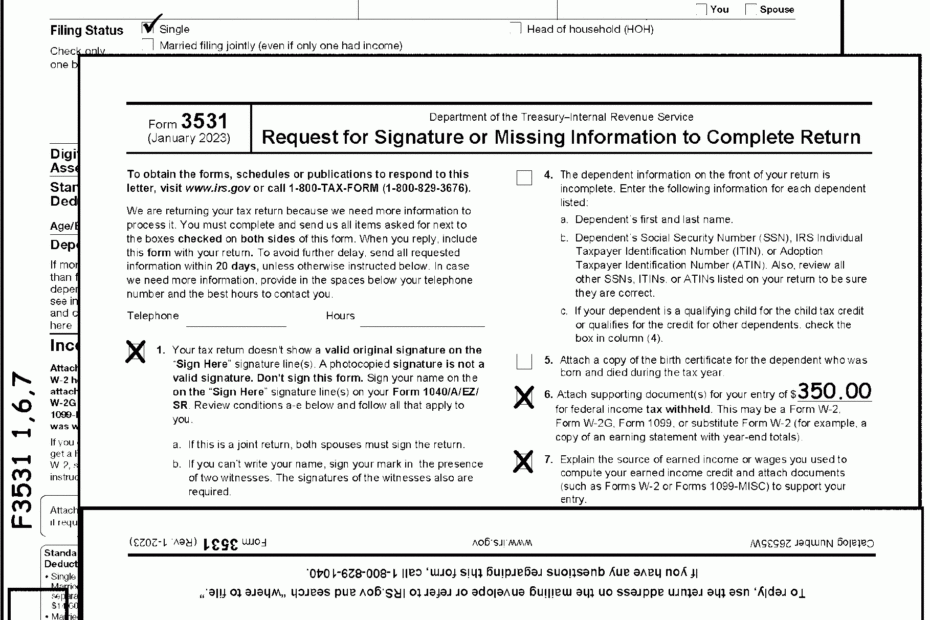 3 11 3 Individual Income Tax Returns Internal Revenue Service