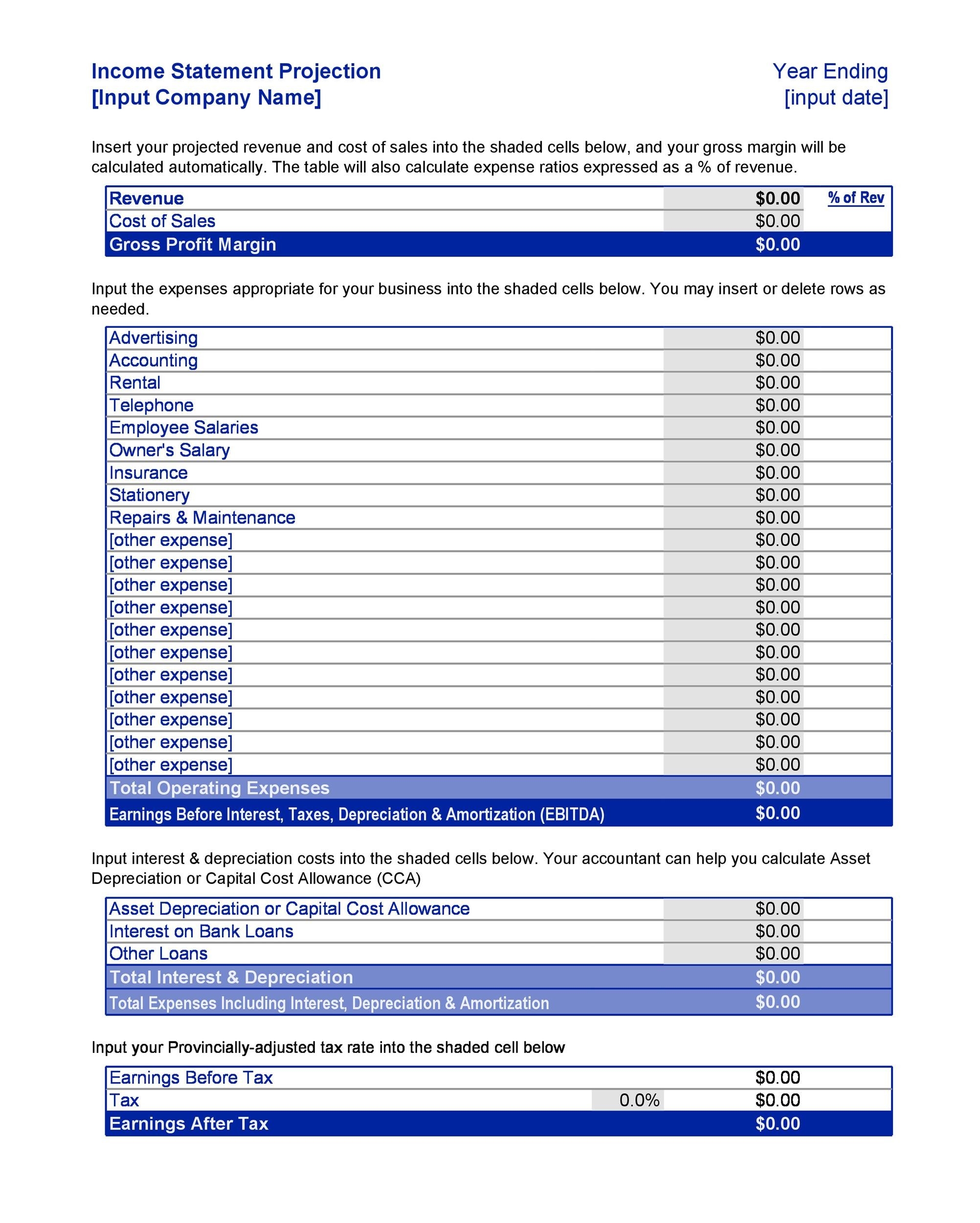 41 FREE Income Statement Templates U0026 Examples TemplateLab