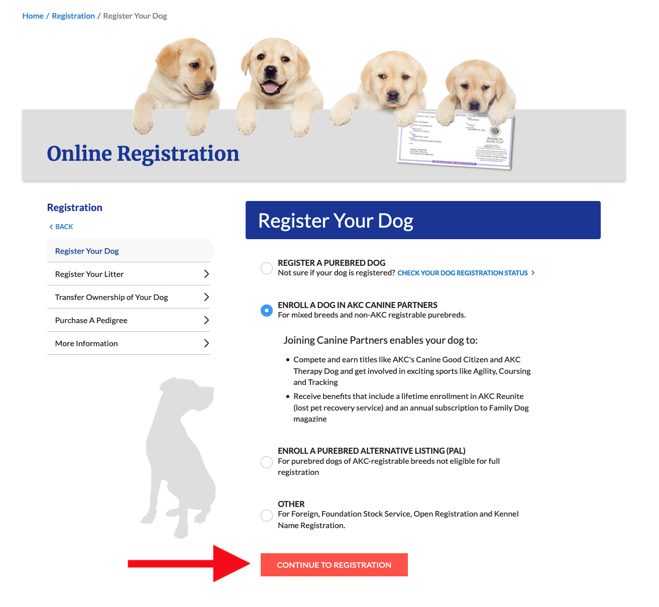 A New Registered Akc Form Deals