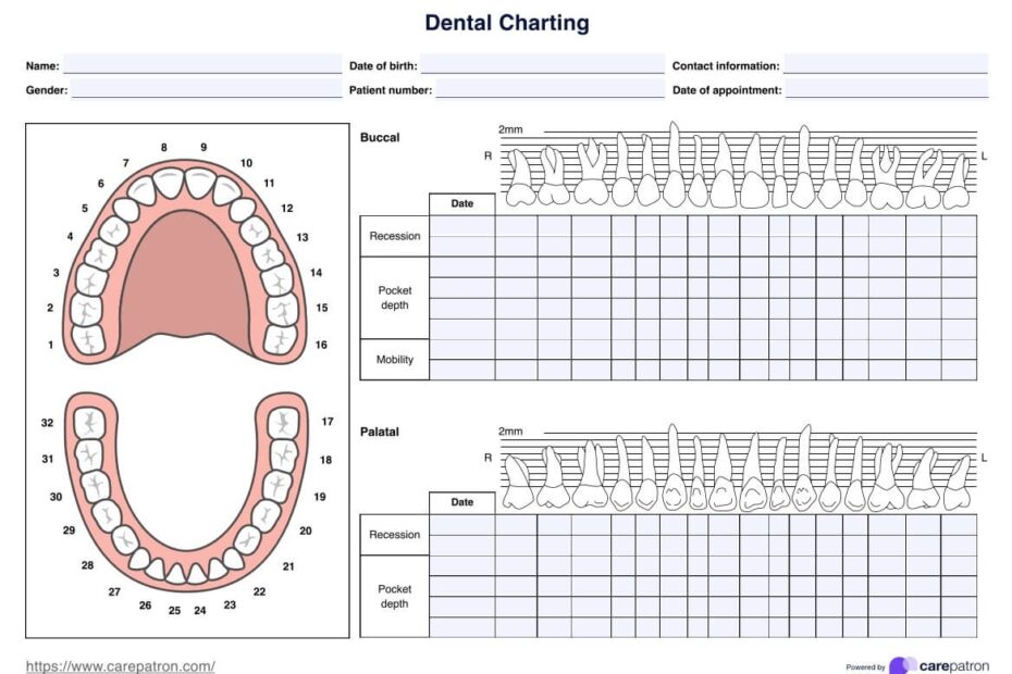 Dental Charting Template