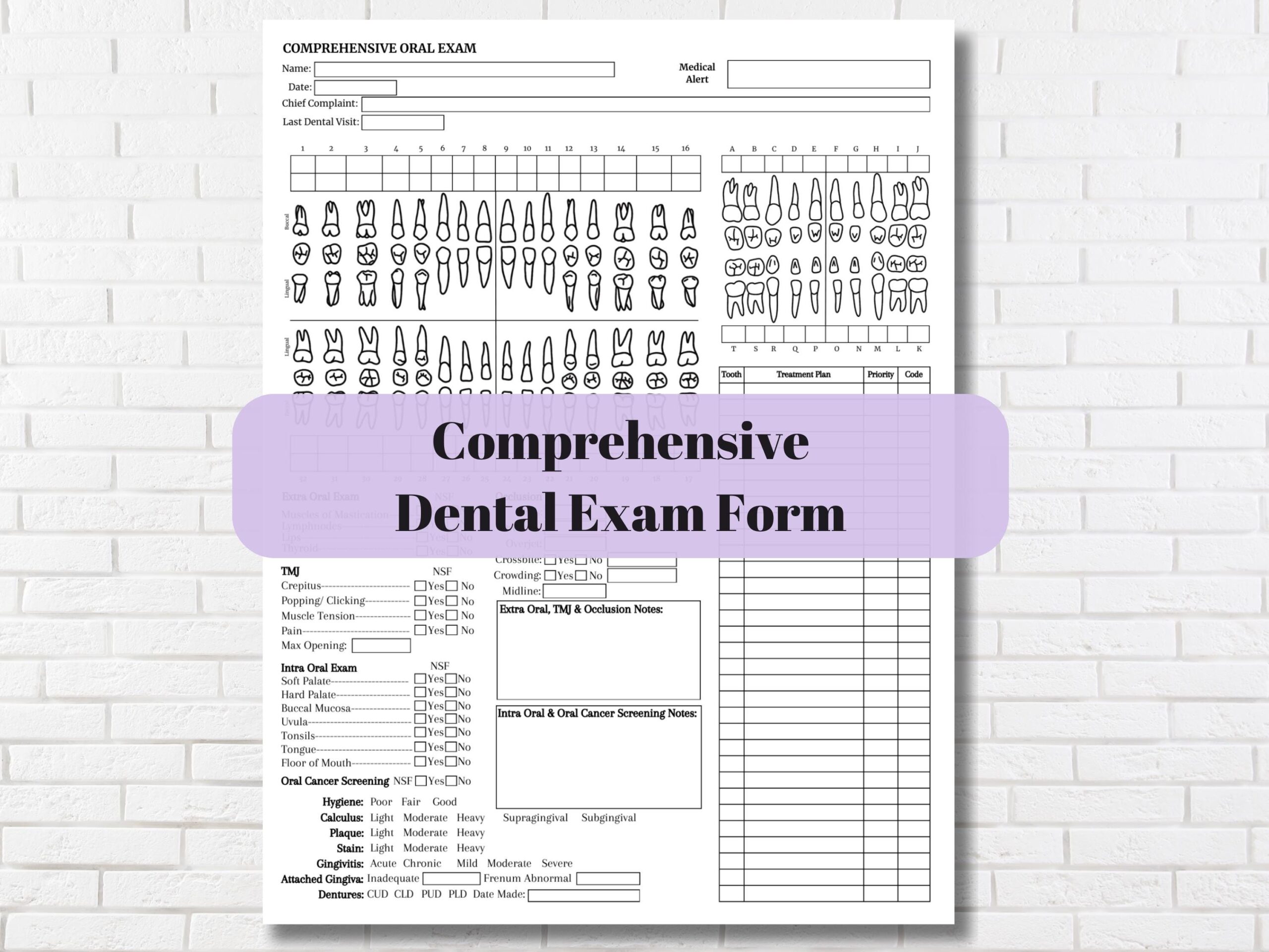 Dental Exam Form Complete Oral Exam Template Dentist Charting 
