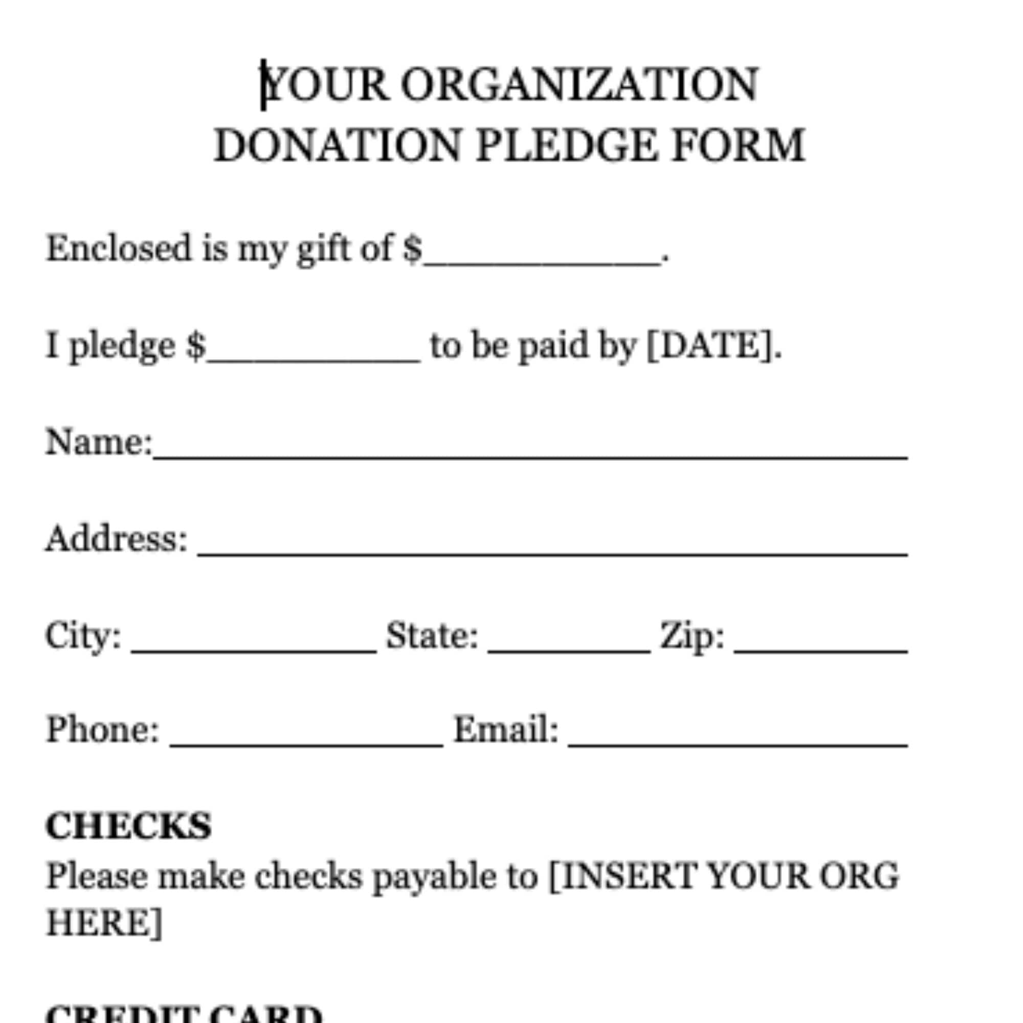 Donation Pledge Form Editable Printable Donation Flyer School 