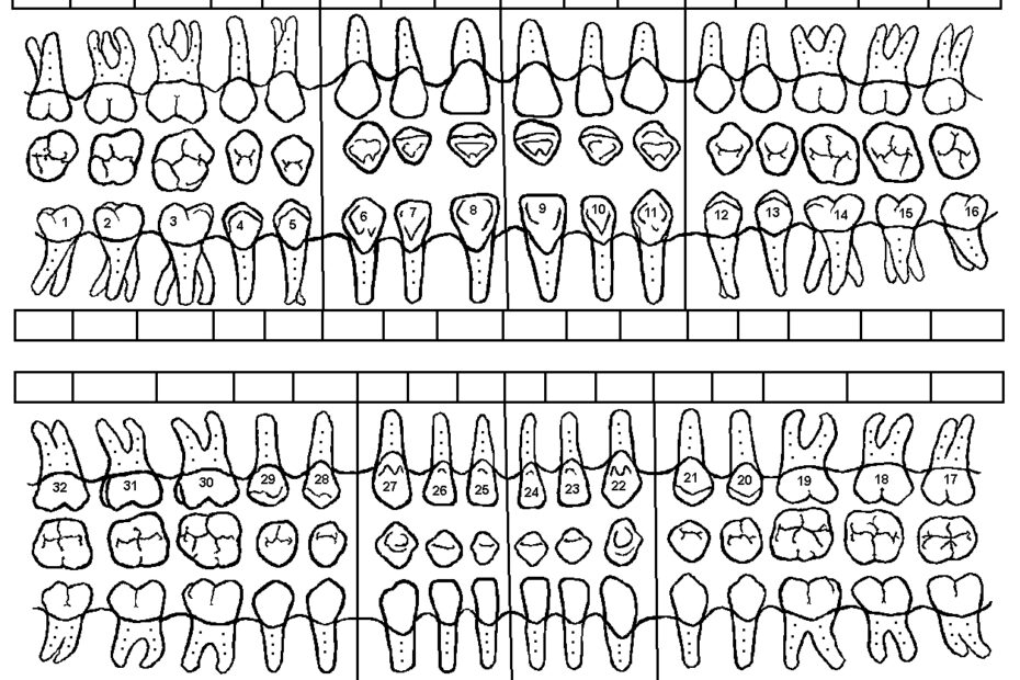 Dr Otterholt s Free Dental Consultants Management Downloads