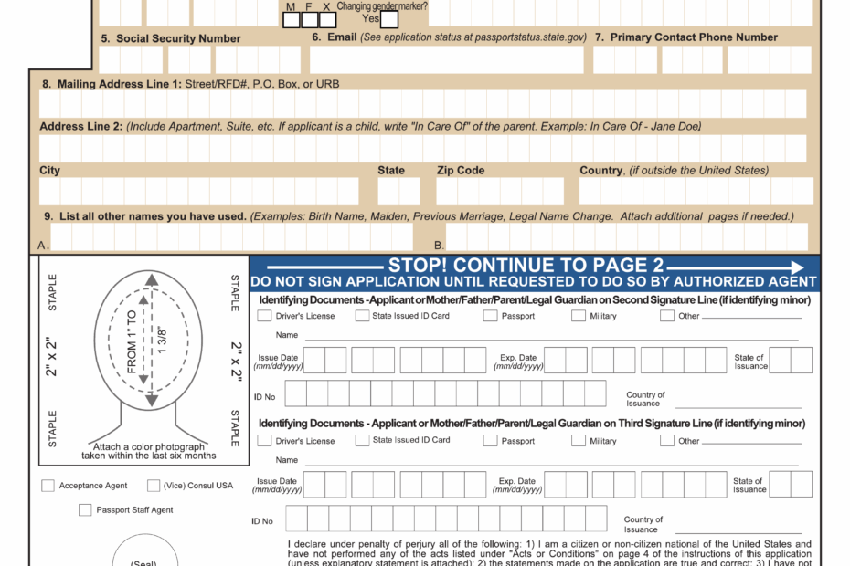 DS 11 Passport Application Form 2024 2025 Fill U0026 Download PDF Guru