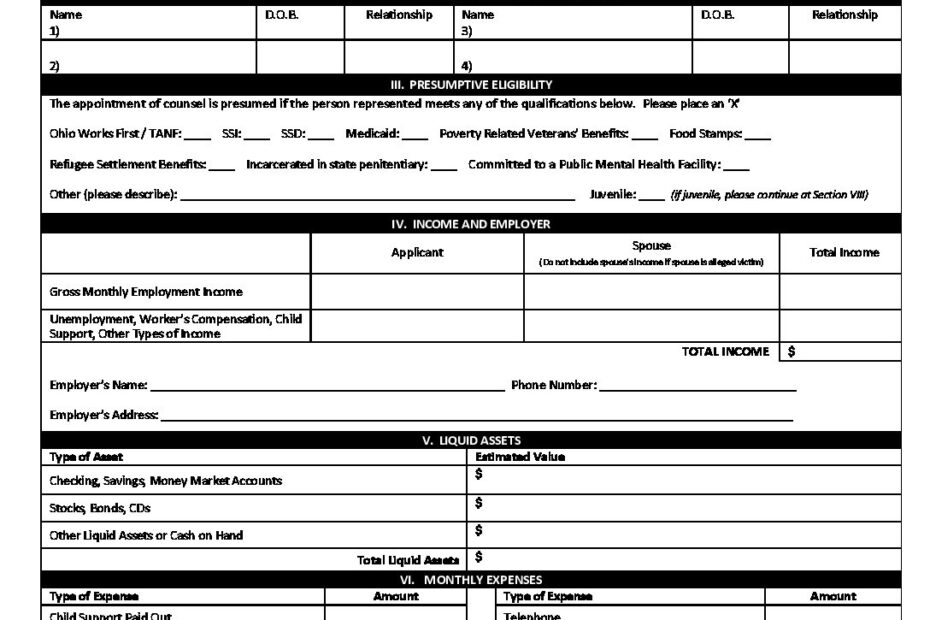 Financial Disclosure Form Indigency Application Lake County Domestic Relations Court