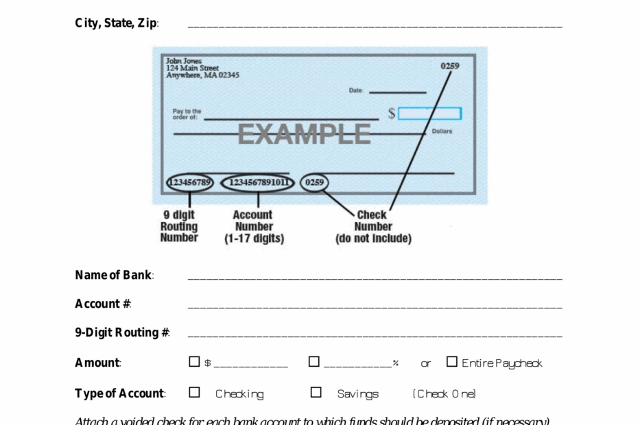 Free Direct Deposit Authorization Forms 22 PDF Word EForms