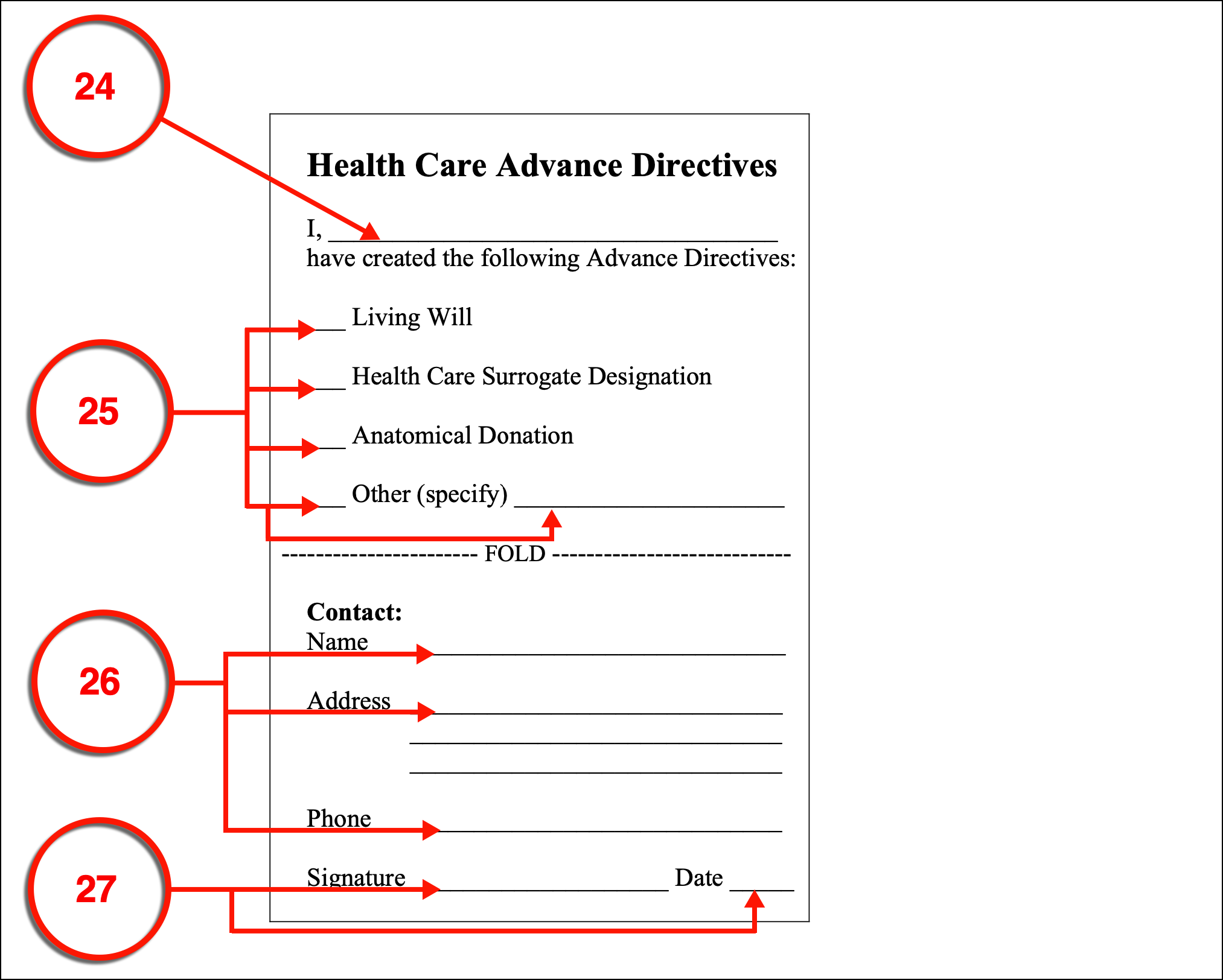 Free Florida Advance Directive Form Medical POA Living Will PDF