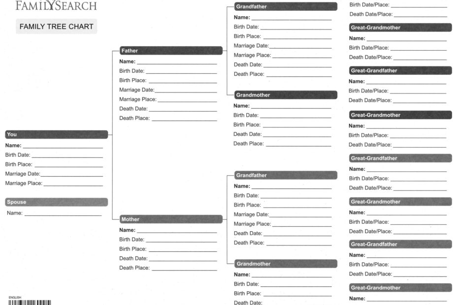 Free Printable Genealogy Forms Individual Worksheet Worksheets