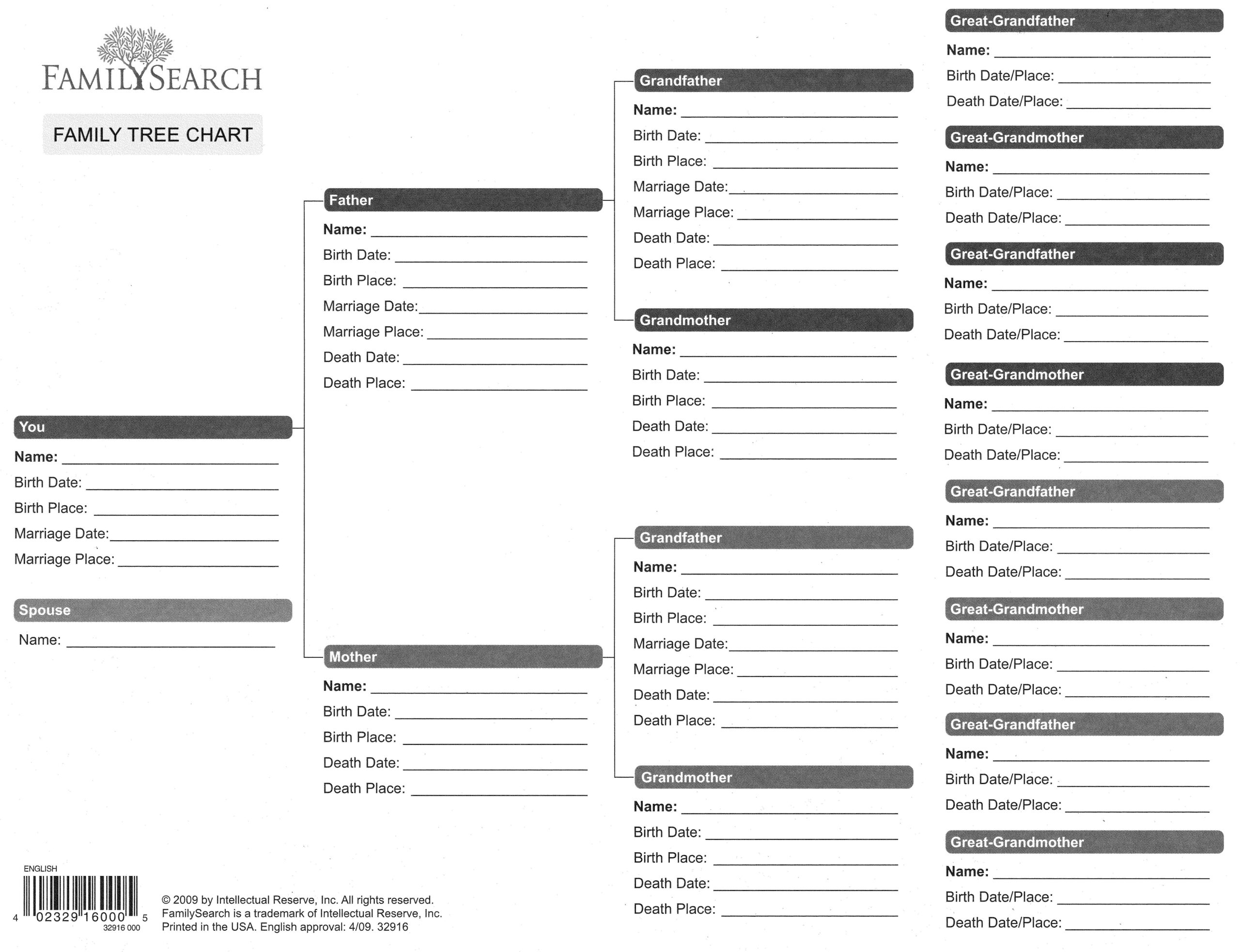 Free Printable Genealogy Forms Individual Worksheet Worksheets 