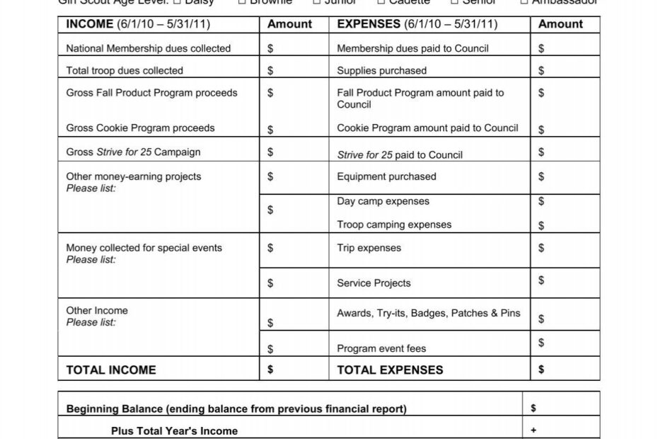 Girl Scout Troop Financial Report 2011 Girl Scouts Of The