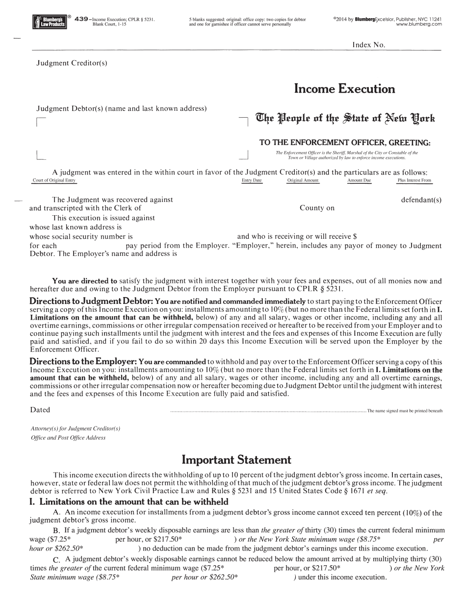 Income Execution Form New York Printable Blank PDF Online
