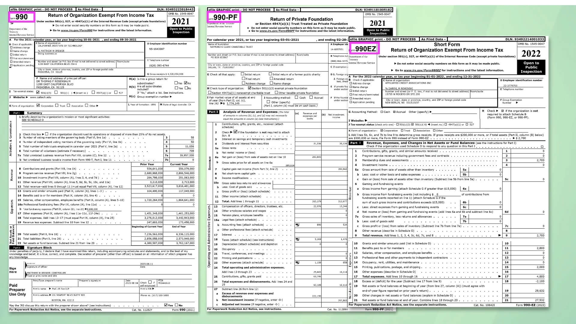 IRS Database Of Exempt Organizations TaxLifeFinances
