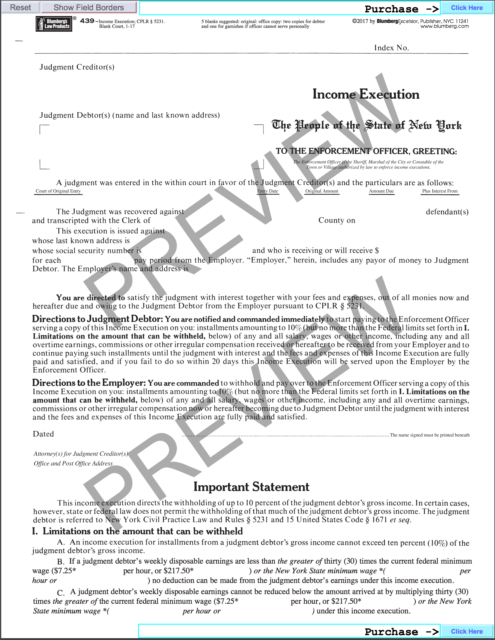 New York Enforcement of Judgements Blumberg Form 439 Income 