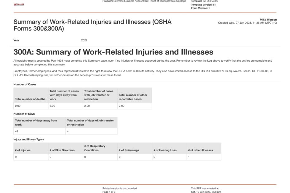 OSHA 300 Log U0026 300a Form Blank Fillable And Printable Pdf Export