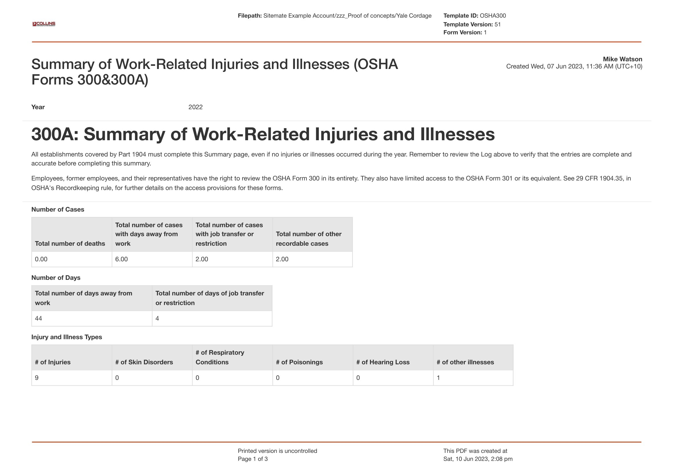 OSHA 300 Log U0026 300a Form Blank Fillable And Printable Pdf Export