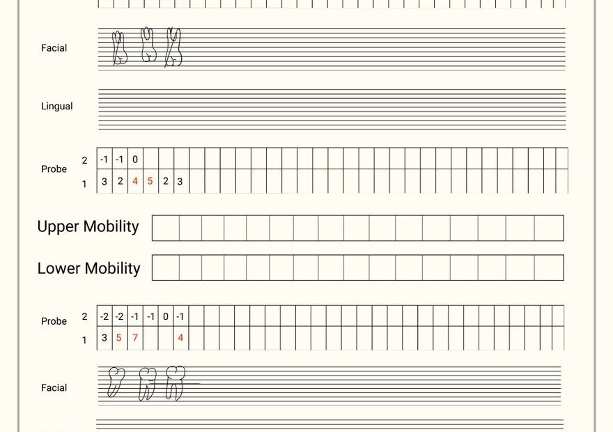 Periodontal Chart For Dentist Office In Illustrator PDF