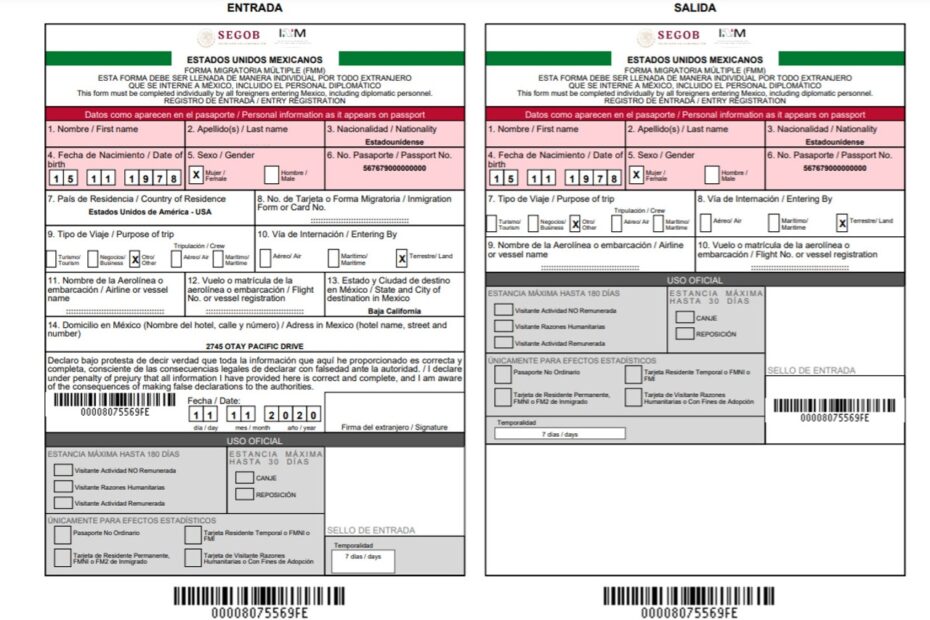 Printable Fmm Form Printable Party Favors