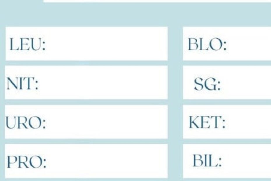 Printable Urinalysis Sheet Download Etsy