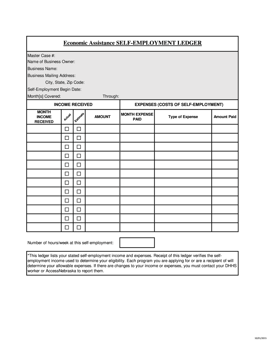 Self Employment Ledger 2025 Form Printable Blank PDF Online
