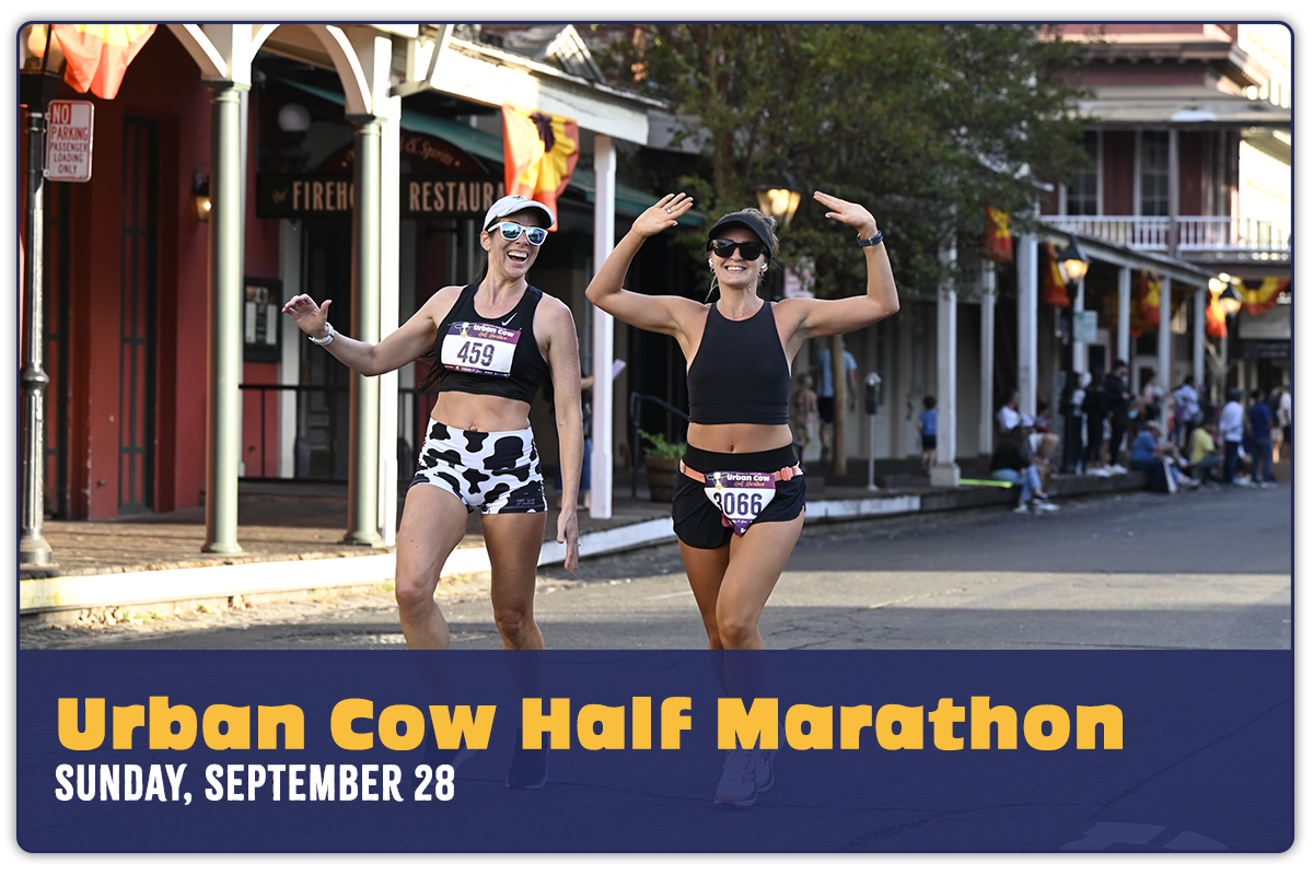Urban Cow Half Marathon