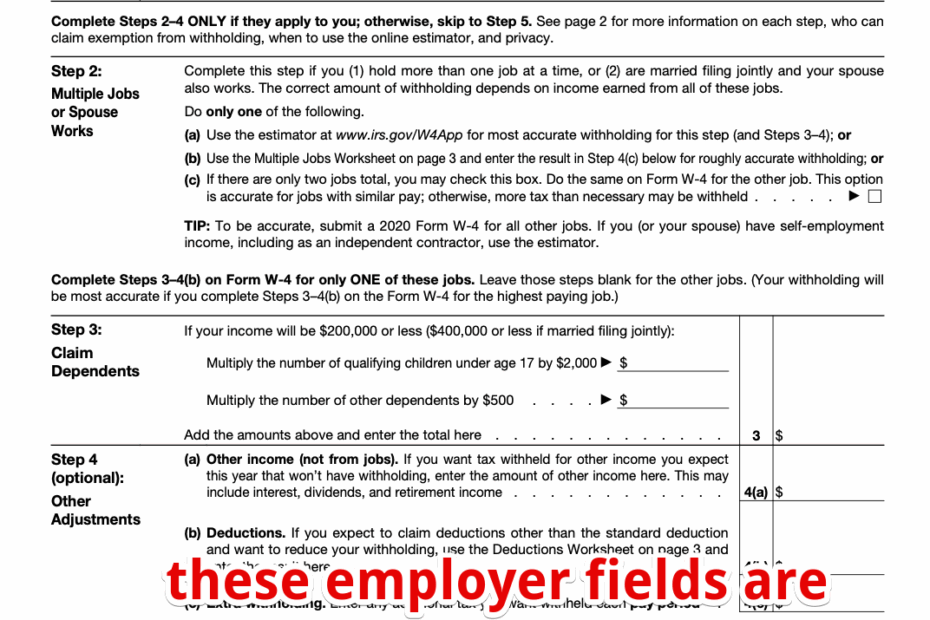 W 4 Employer Fields CareerPlug Worksheets Library