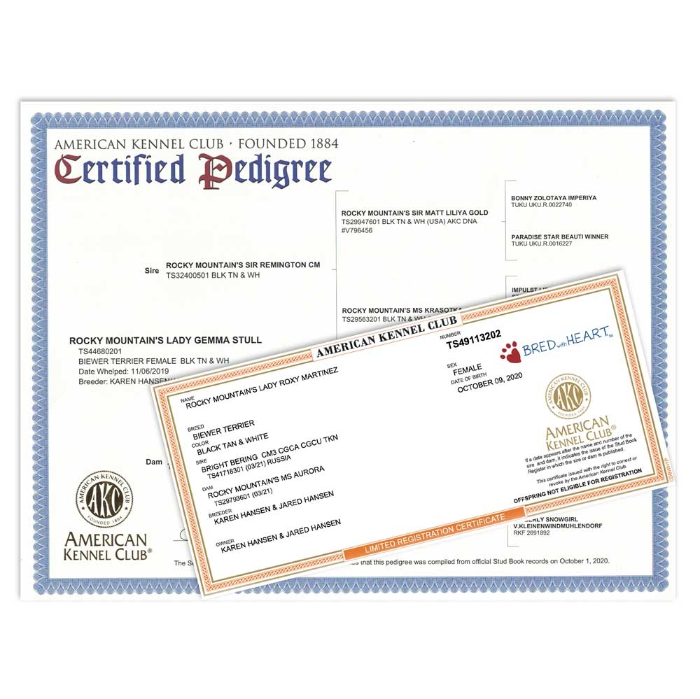 What Is Akc Registered Sale