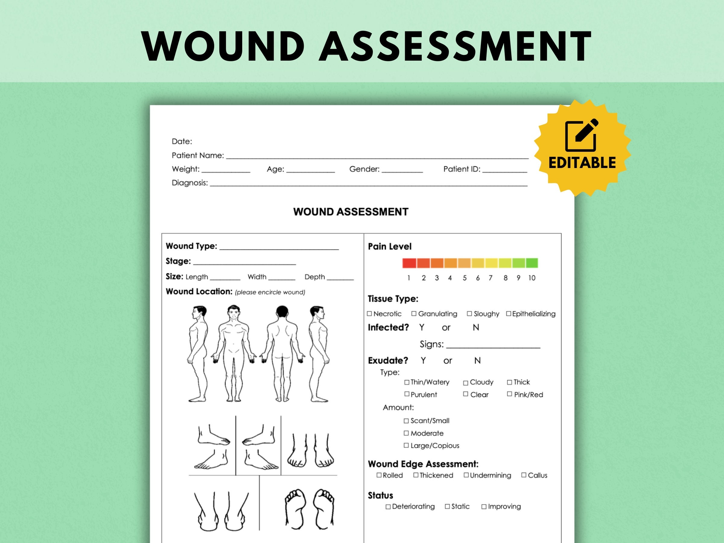 Wound Care Assessment Sheet Pressure Ulcer Skin Integrity 